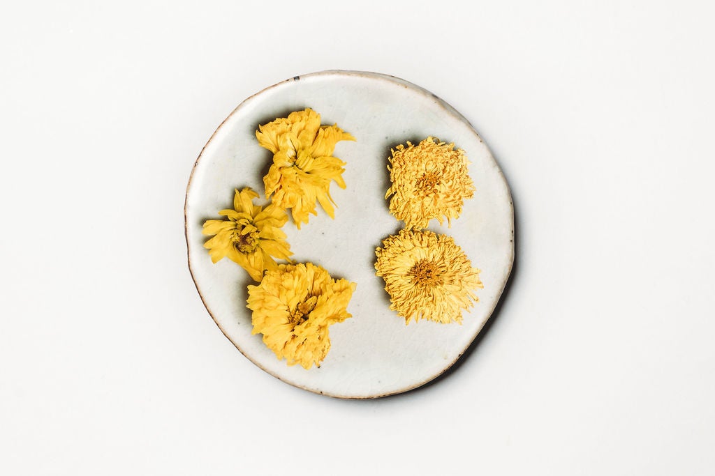 Chrysanthemum (Tribute) (Whole Leaf)